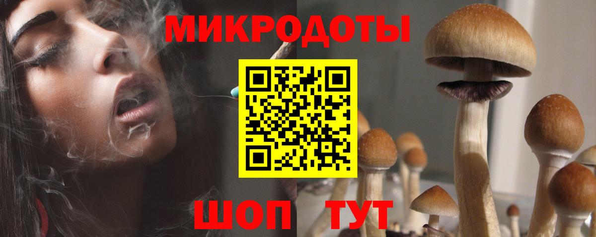 Назарово  Псилоцибиновые грибы мухоморы  Вход с VPN 